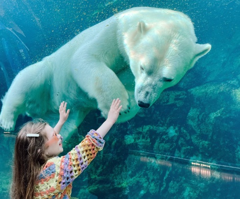 Children meeting animals at Assiniboine Park Zoo during summer camp